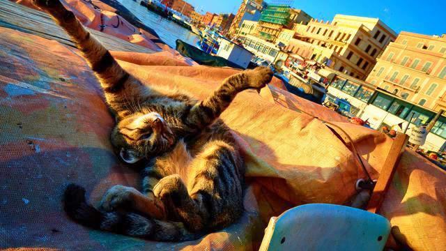 Музыка ко дню святого валентина. Просто хит! Поднимае... смотреть онлайн