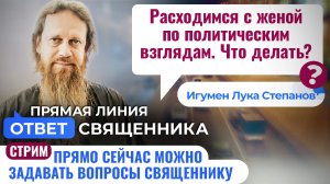 РАСХОДИМСЯ С ЖЕНОЙ ПО ПОЛИТИЧЕСКИМ ВЗГЛЯДАМ. ЧТО ДЕЛАТЬ? ИГУМЕН ЛУКА СТЕПАНОВ