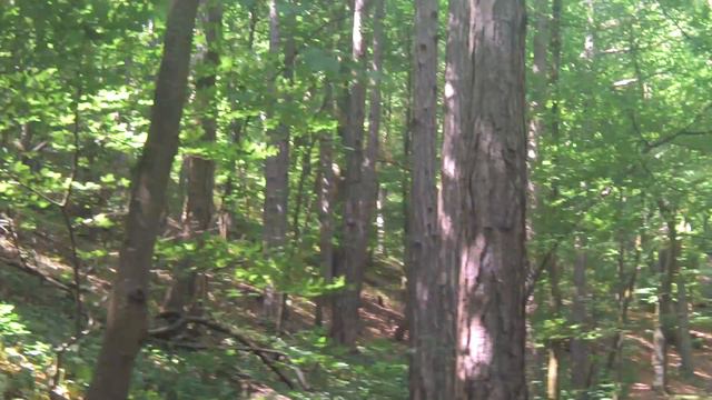 The Nature CVIII filmed by Chris Alpha смотреть онлайн