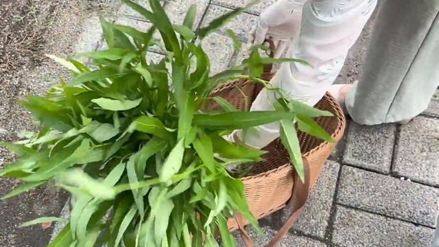 在自己的家里真好啊！院子里的蔬菜疯狂的长，吃也吃不完！ смотреть онлайн