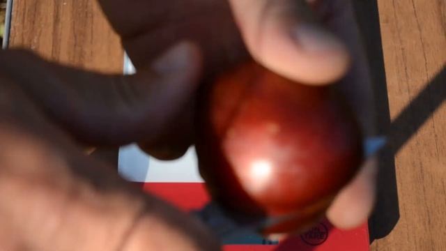 Слива диплоїдна Ренклод альтана смотреть онлайн