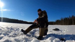 Огромные окуни, на это стоит посмотреть. Карельская зимняя рыбалка. Зимняя рыбалка в Карелии