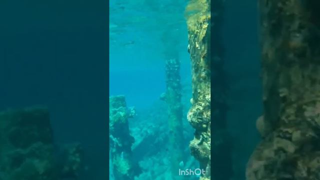 Old Palace Resort HRG