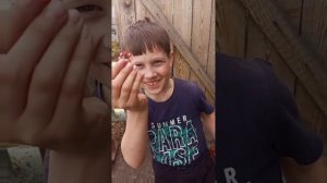 Обзор на пистолет с пистонами👍