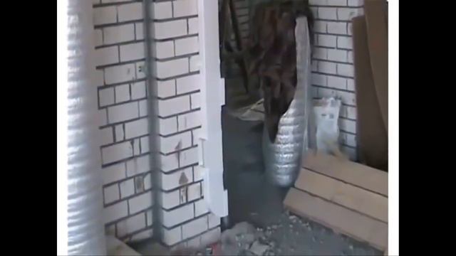 Пример вентиляции частного дома Вентиляция из пластиковых прямоугольных воздуховодов смотреть онлайн