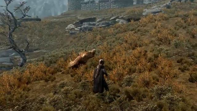 Skyrim: Sybertooth + Paralysis bow смотреть онлайн