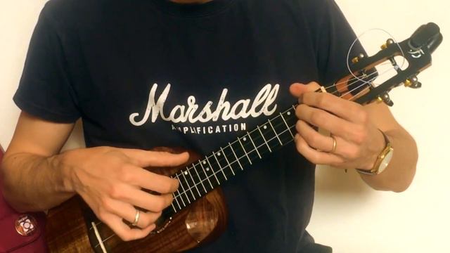 I Started a Joke (The Bee Gees) - ukulele solo - Flight Spirit смотреть онлайн
