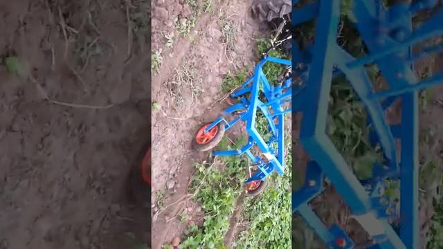 Уборка картошки 2013, минитрактор Jinma-204 и картофелекопалка 4UD-1 смотреть онлайн