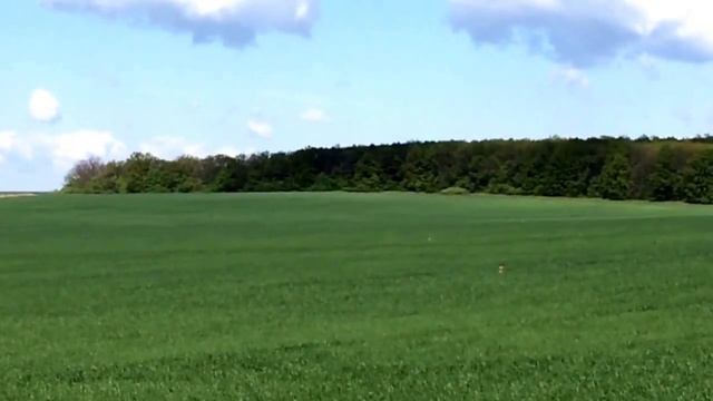 Как зайцы Орлов гоняли... смотреть онлайн