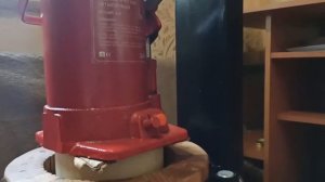 Как отжать тыквенное масло в домашних условиях. Подробный процесс Отжим тыквенного масла