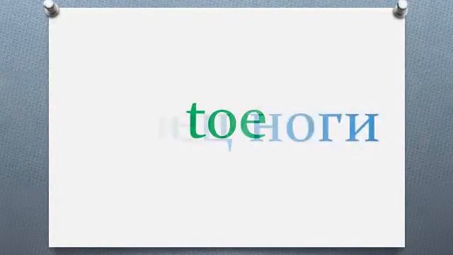 Английские слова на тему 'Человек Анатомия' Часть 3 смотреть онлайн