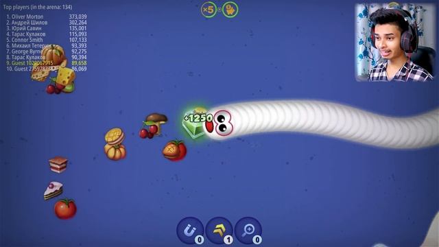 পাগলু সাপ || WORMSZONE.io || SOKHER GAMER