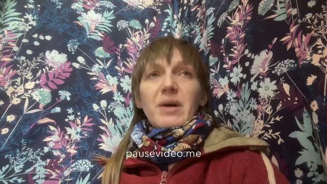 Улучшить состояние собаки. Как? смотреть онлайн