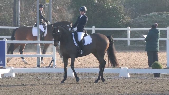 Dressage Regionals Medium 75: Kathy Sievert & Samba Song смотреть онлайн