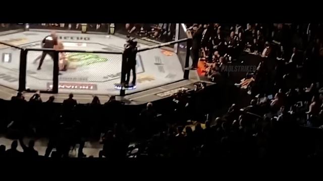 All Knockouts Of Alex Pereira In MMA And UFC