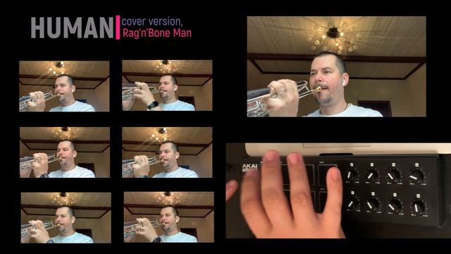 Rag'n'Bone Man - Human (Cover version) | Evgeny Alimov - trumpet смотреть онлайн