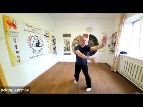 Янши Тайцзи-цюань стиль Ян 24 формы. 9 форма: "Одиночный хлыст". Тайцзи с доктором Бутримовым. смотреть онлайн