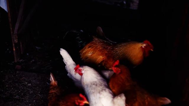 Бузулукский бор 2020 смотреть онлайн