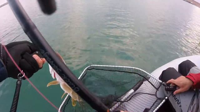 Рыбалка класс.Ловля Щуки на ДЖЕРКИ. смотреть онлайн