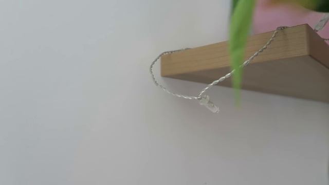 Journal des plantes - Boutures, Nouvelles pousses et fleurs | Plant Life смотреть онлайн