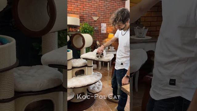 Ciapa смотреть онлайн