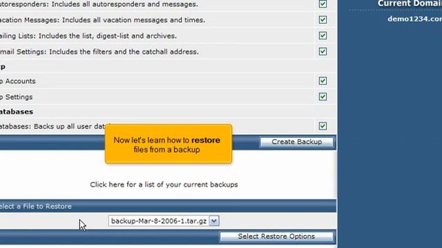 DirectAdmin - How to backup your website смотреть онлайн