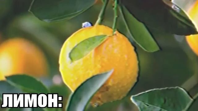 АААААААААААААА - в разных местах смотреть онлайн