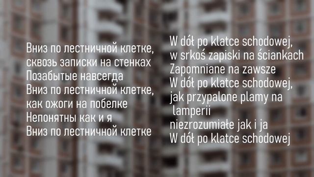 Molchat Doma - Kletka tłumaczenie i interpretacja смотреть онлайн