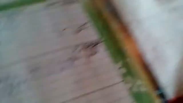 Мои оценки в дневнике смотреть онлайн