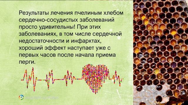 Перга Пчелиная Полезные Свойства смотреть онлайн