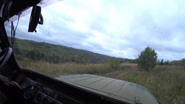 В лес за грибами. Грибы-гиганты. смотреть онлайн