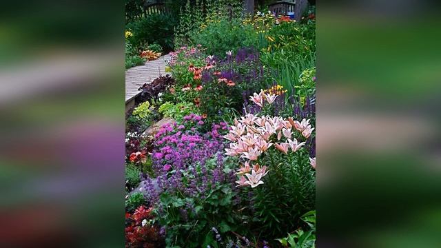 Цветники и миксбордеры в ландшафтном дизайне смотреть онлайн