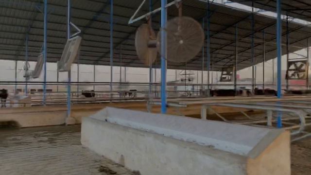 2 kanal Farm Convert Into 2 acre Dairy Farm Business смотреть онлайн