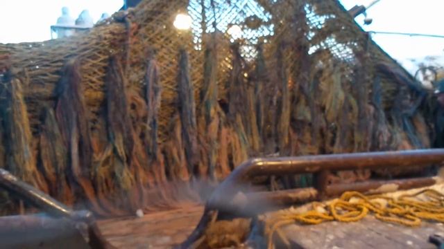 прикол сивучь попался в трал смотреть онлайн