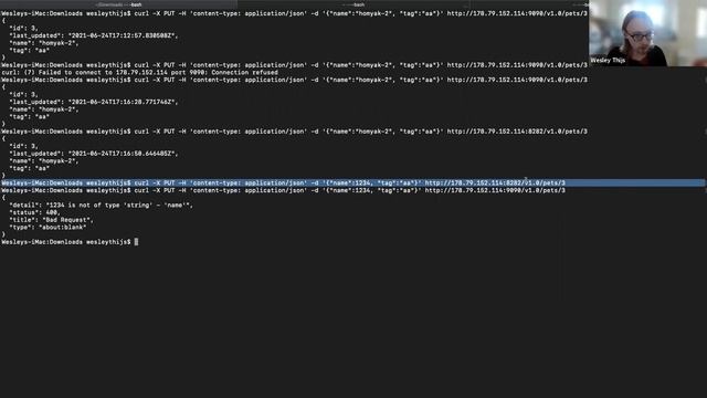Workshop - Securing REST with a free API firewall by Wallarm. ✍️ смотреть онлайн