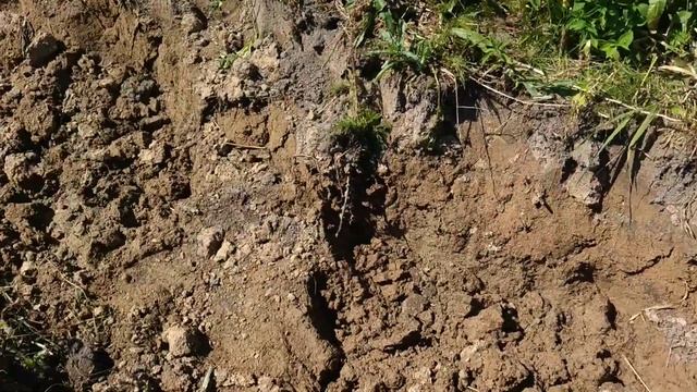 Постройка (восстановление) плотины на реке из подручных материалов на реке. Часть 2 смотреть онлайн