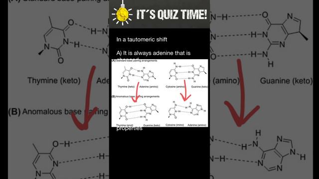 DNA: Tautomeric shift смотреть онлайн