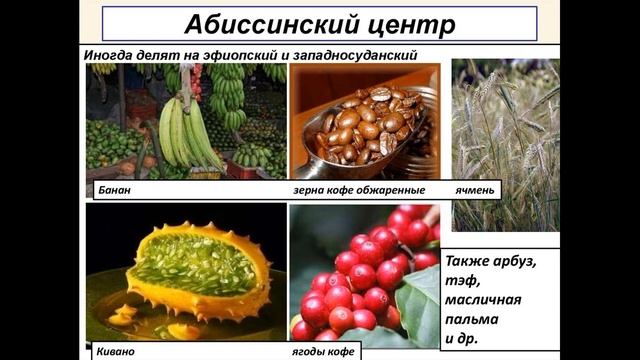 Центры происхождения культурных растений и домашних животных, биология - 8 класс смотреть онлайн