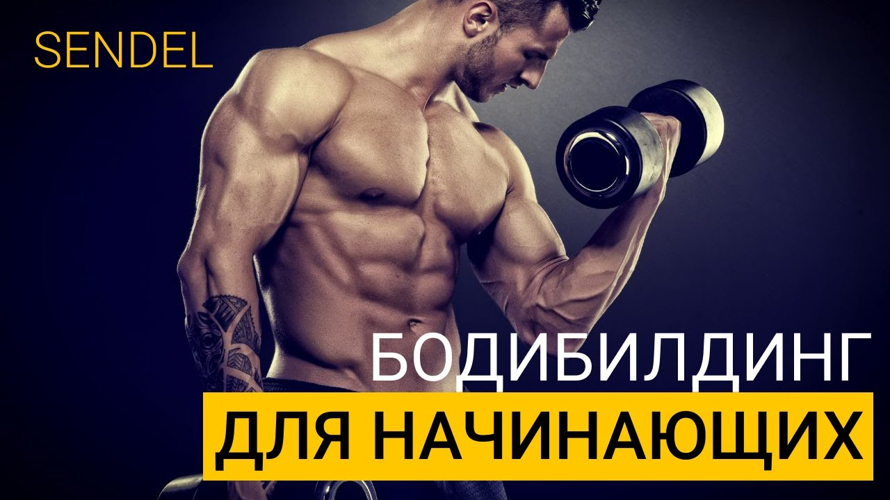 БОДИБИЛДИНГ ДЛЯ НАЧИНАЮЩИХ.С ЧЕГО НАЧАТЬ? 3 ПРОСТЫХ ШАГА. смотреть онлайн