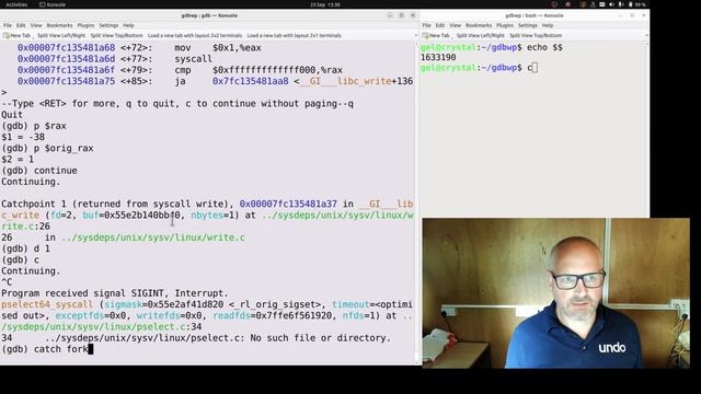 Multiprocess debugging in GDB смотреть онлайн
