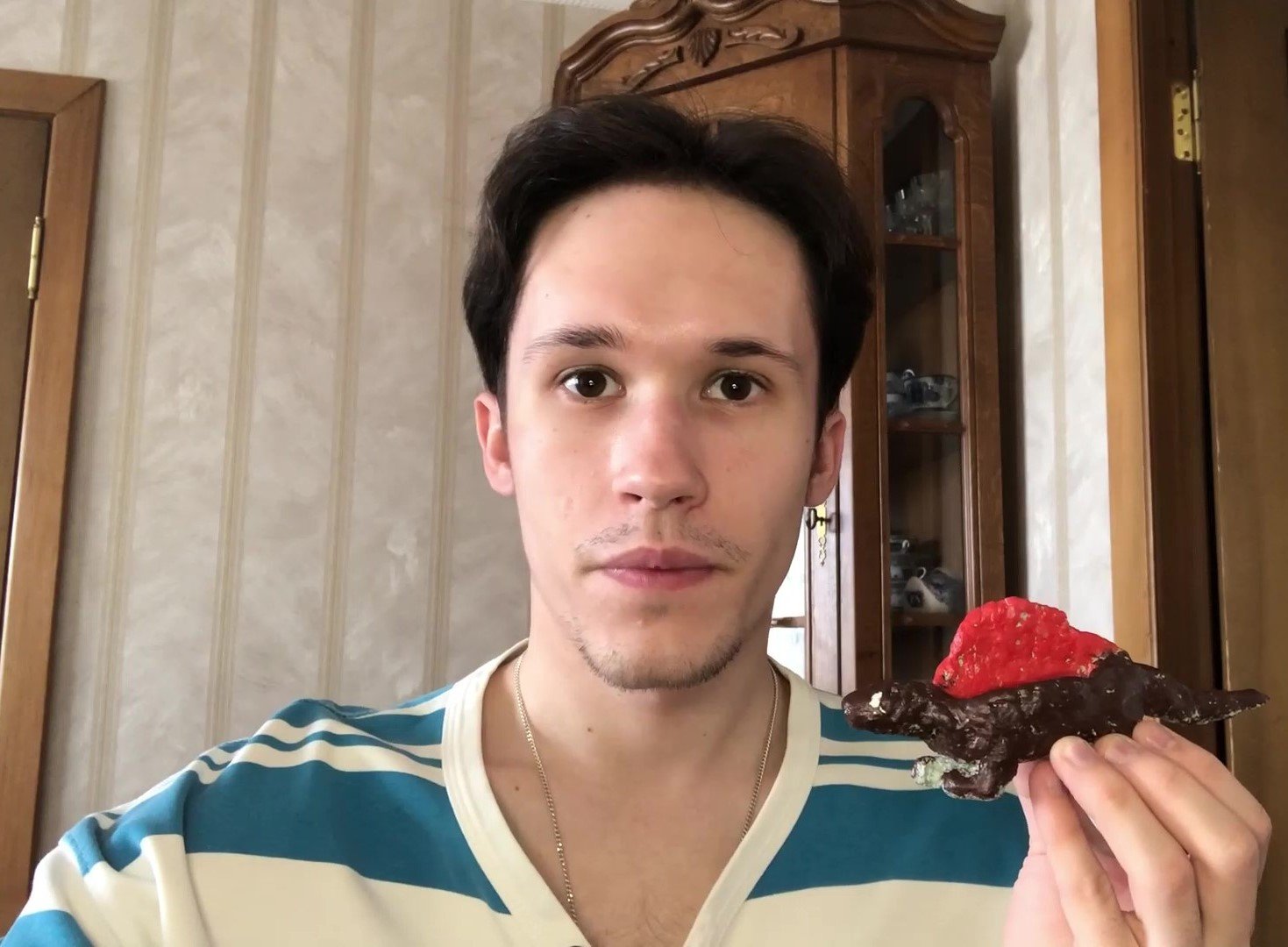 Не динозавр, но считающийся им: леплю из глины диметродона смотреть онлайн