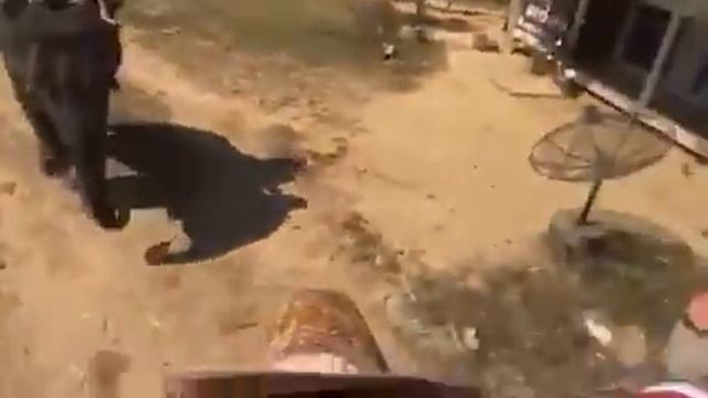 Катание на слоне Паттайя смотреть онлайн