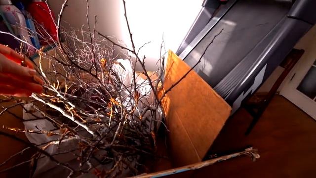 ГДЕ ОЗВУЧКА КВ??? Мои планы по КВ-экранизации. смотреть онлайн