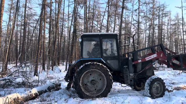 #работалесногопожарноговзимнеевремя. Чистим противопожарный разрыв смотреть онлайн