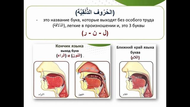 Урок 49. Названия арабских букв в Таджуиде. смотреть онлайн