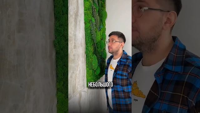 Стабилизированный мох в интерьере смотреть онлайн