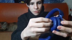 ОБЗОР НА НАУШНИКИ JBL 560BT_ВСЁ КАК ОНО ЕСТЬ!