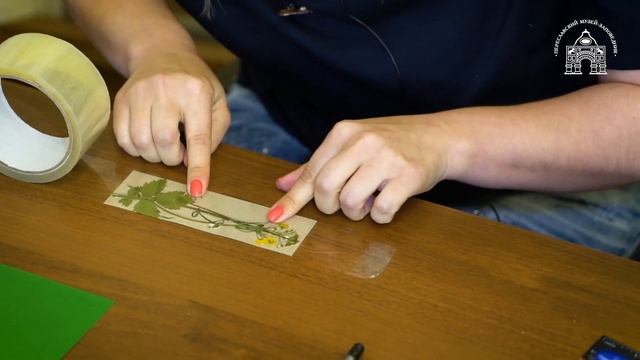 Мастер класс Полевые букеты смотреть онлайн