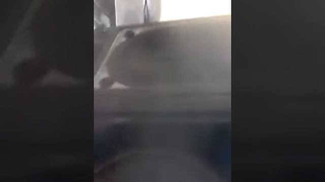 Тест драйвер смотреть онлайн