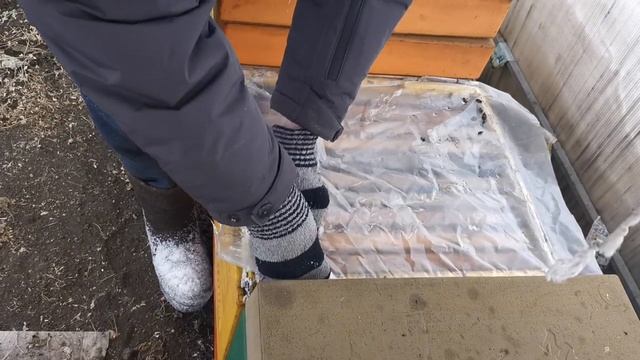 Осмотр пчёл 6 января 2021 зимовка в теплице и сугробе смотреть онлайн